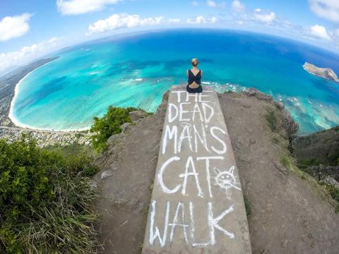 Go to Hawaii: Part III
